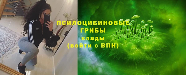 дмт Лабытнанги