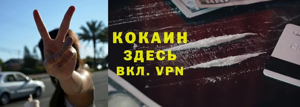 дмт Лабытнанги