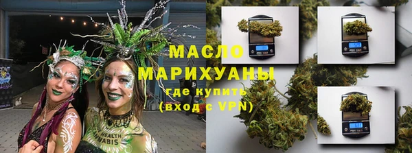 дмт Лабытнанги