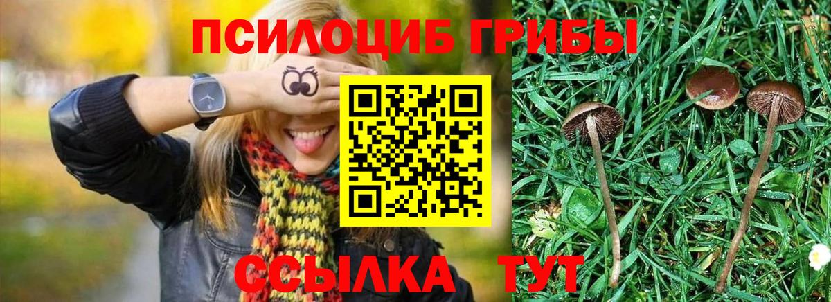 Псилоцибиновые грибы ЛСД  Вход с VPN  Татарск 